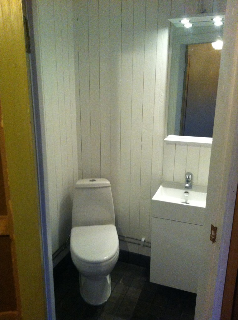 Liten toalett med naturstensklinker och brädväggar (1)